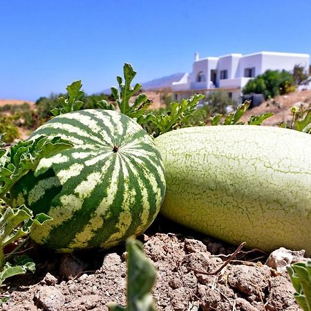 Relaxia Estate Naxos Διαμέρισμα Γαλήνη Εξωτερικό φωτογραφία