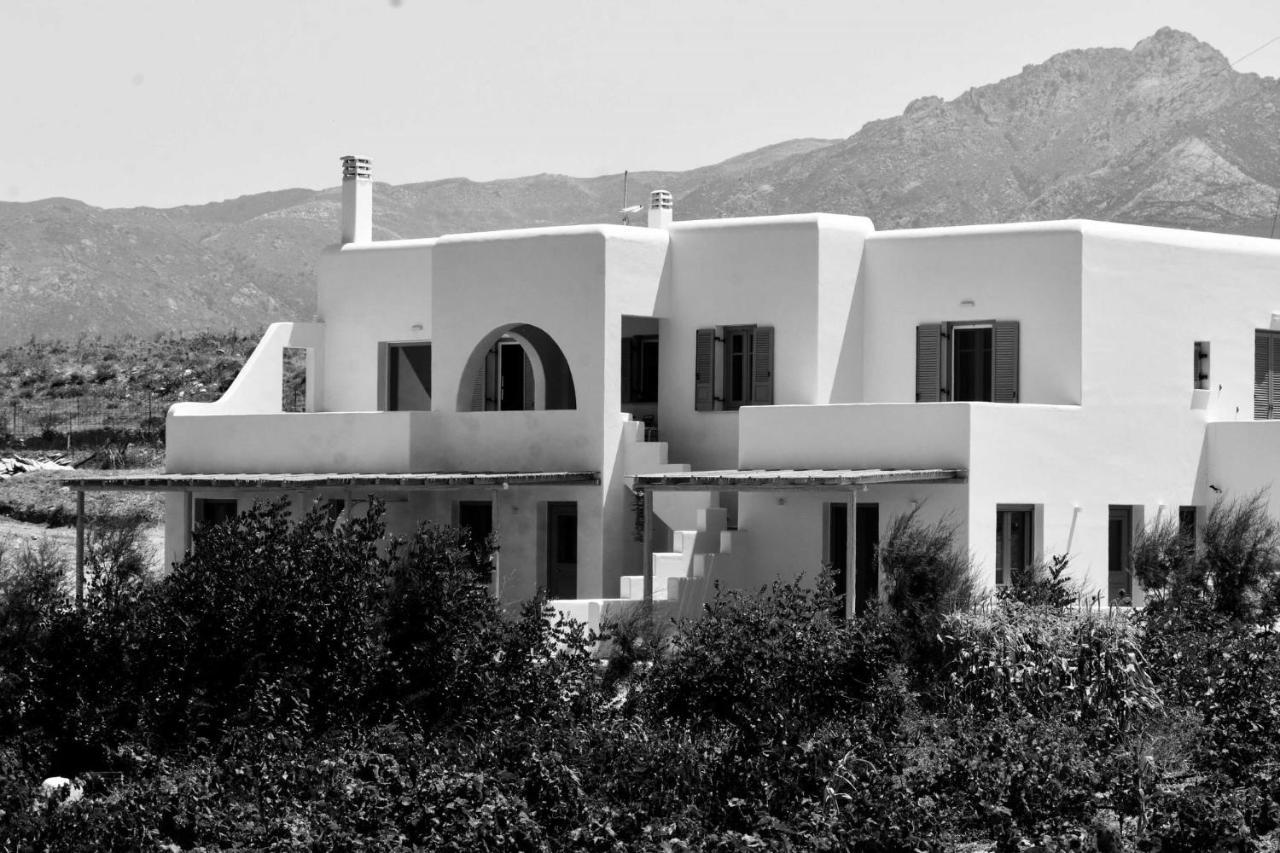 Relaxia Estate Naxos Διαμέρισμα Γαλήνη Εξωτερικό φωτογραφία