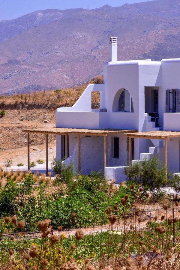 Relaxia Estate Naxos Διαμέρισμα Γαλήνη Εξωτερικό φωτογραφία